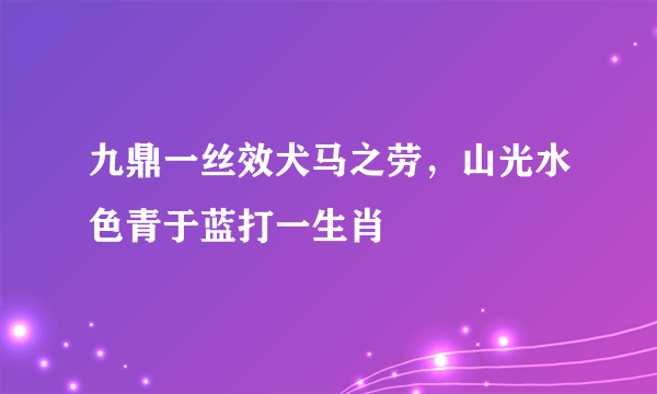 九鼎一丝效犬马之劳，山光水色青于蓝打一生肖