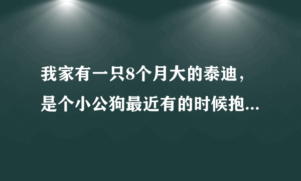 我家有一只8个月大的泰迪，是个小公狗最近有的时候抱着我大腿做出交配的工作，已经3-4个月的时候也出现过