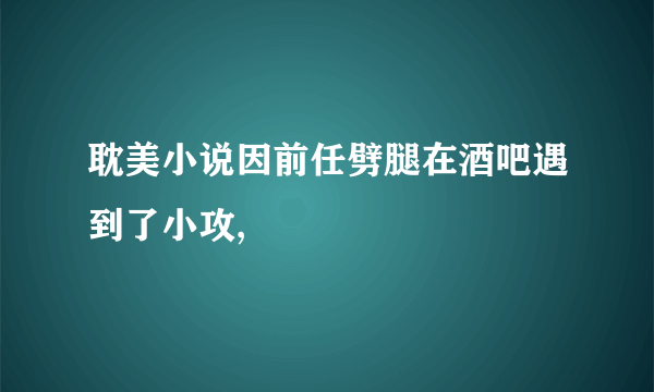 耽美小说因前任劈腿在酒吧遇到了小攻,