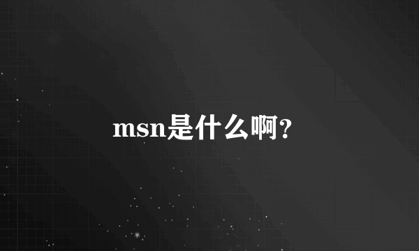 msn是什么啊？