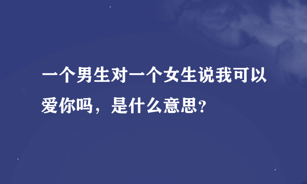 一个男生对一个女生说我可以爱你吗，是什么意思？