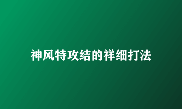 神风特攻结的祥细打法