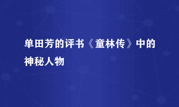 单田芳的评书《童林传》中的神秘人物