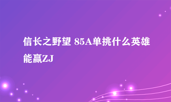 信长之野望 85A单挑什么英雄能赢ZJ