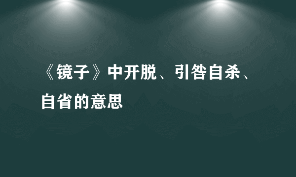 《镜子》中开脱、引咎自杀、自省的意思