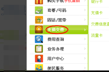 怎样查询电信充值记录