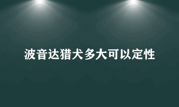 波音达猎犬多大可以定性