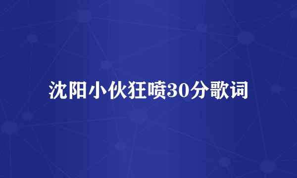 沈阳小伙狂喷30分歌词