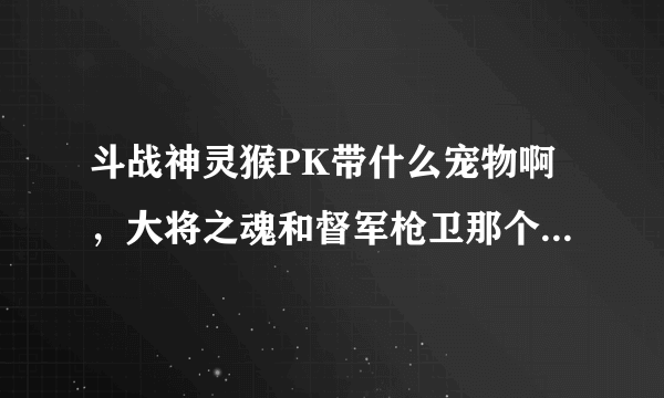 斗战神灵猴PK带什么宠物啊，大将之魂和督军枪卫那个更适合呢