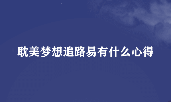 耽美梦想追路易有什么心得