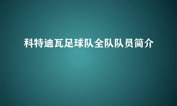 科特迪瓦足球队全队队员简介