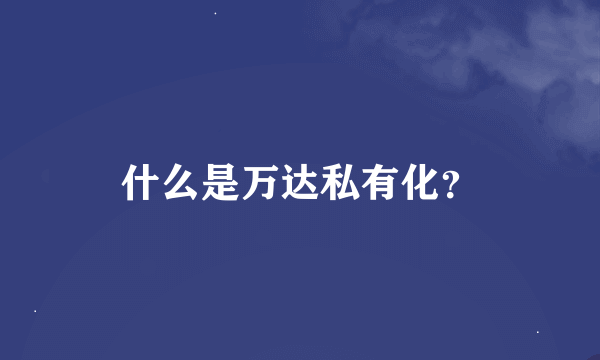 什么是万达私有化？