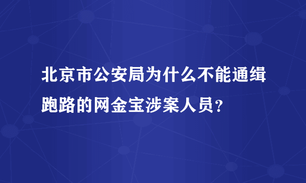 北京市公安局为什么不能通缉跑路的网金宝涉案人员？