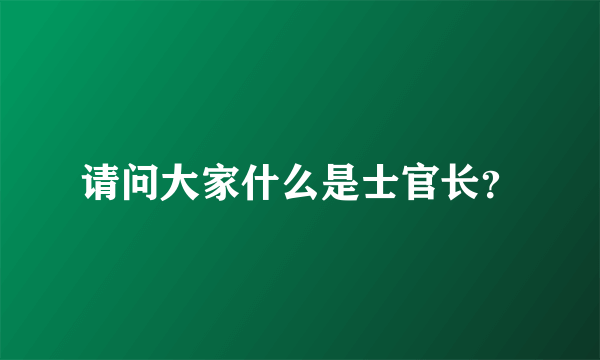 请问大家什么是士官长？