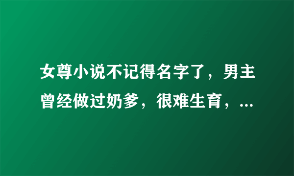 女尊小说不记得名字了，男主曾经做过奶爹，很难生育，被前主人抛弃，