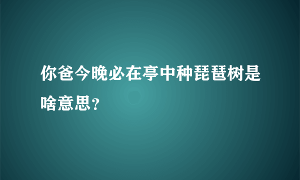 你爸今晚必在亭中种琵琶树是啥意思？