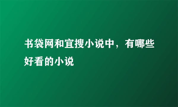 书袋网和宜搜小说中，有哪些好看的小说