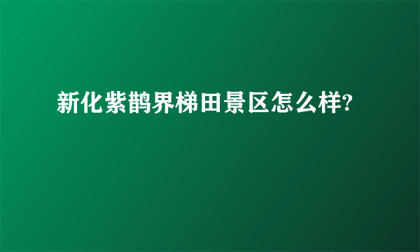 新化紫鹊界梯田景区怎么样?