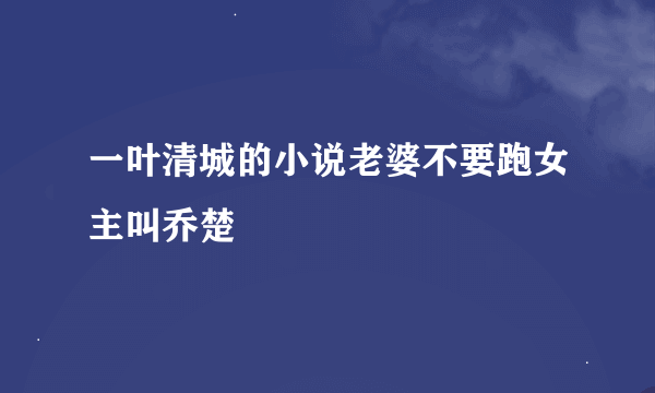 一叶清城的小说老婆不要跑女主叫乔楚