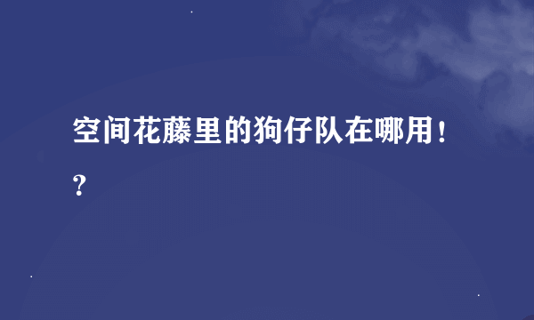 空间花藤里的狗仔队在哪用！？