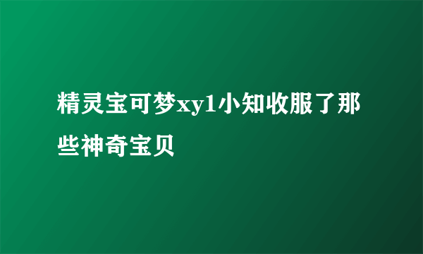 精灵宝可梦xy1小知收服了那些神奇宝贝