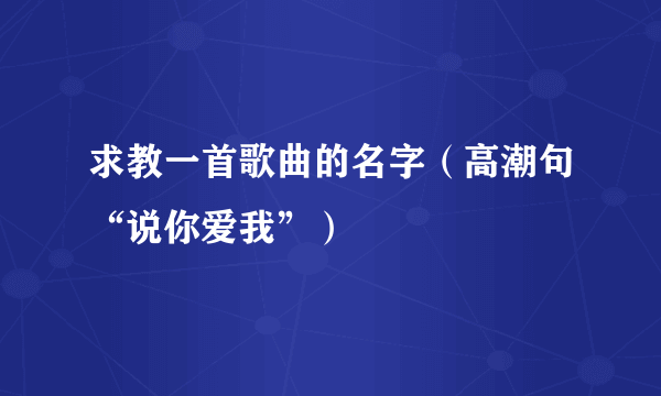 求教一首歌曲的名字（高潮句“说你爱我”）