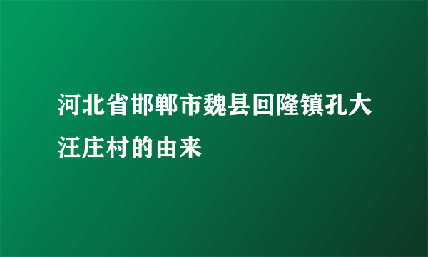 河北省邯郸市魏县回隆镇孔大汪庄村的由来