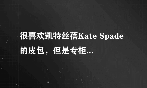 很喜欢凯特丝蓓Kate Spade的皮包，但是专柜价格实在太贵了，网上有卖的吗？