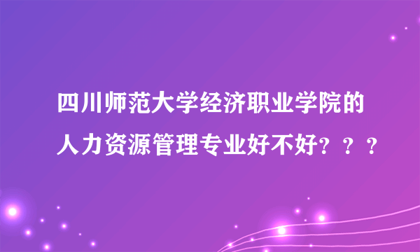 四川师范大学经济职业学院的人力资源管理专业好不好？？？