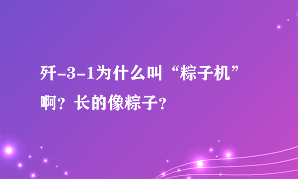 歼-3-1为什么叫“粽子机”啊？长的像粽子？