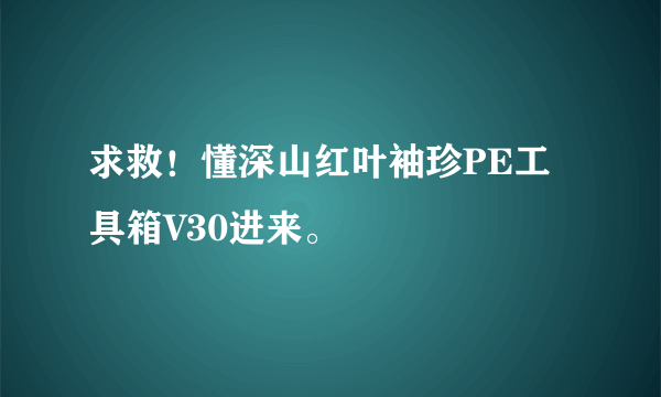 求救！懂深山红叶袖珍PE工具箱V30进来。