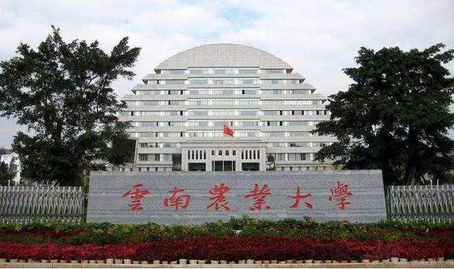 中国8个丑陋建筑，你了解多少？