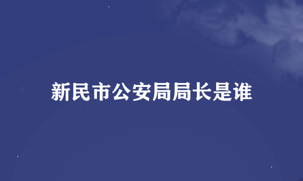 新民市公安局局长是谁