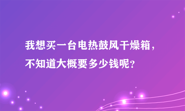 我想买一台电热鼓风干燥箱，不知道大概要多少钱呢？