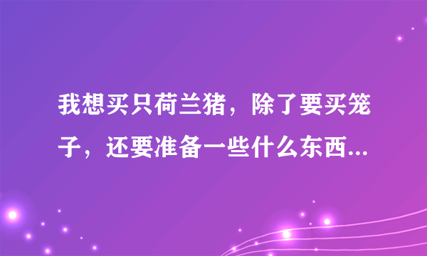 我想买只荷兰猪，除了要买笼子，还要准备一些什么东西。越详细越好。