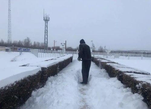 气象局报道新一轮寒潮来袭，哪些地方会迎来雨雪天气？