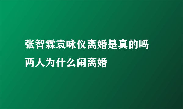 张智霖袁咏仪离婚是真的吗 两人为什么闹离婚