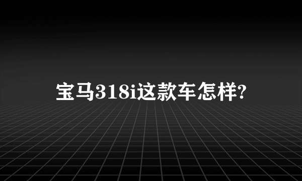 宝马318i这款车怎样?