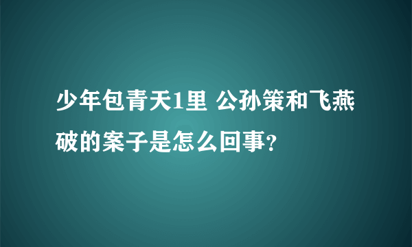 少年包青天1里 公孙策和飞燕破的案子是怎么回事？