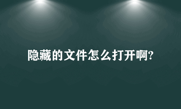 隐藏的文件怎么打开啊?