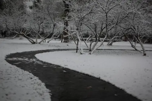 全国初雪地图登场，哪些地区将会陆续迎来今冬的初雪？