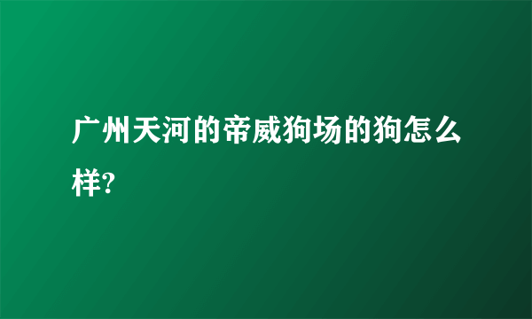 广州天河的帝威狗场的狗怎么样?