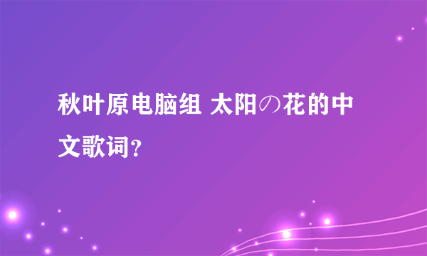 秋叶原电脑组 太阳の花的中文歌词？