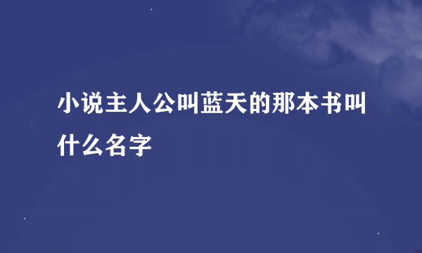 小说主人公叫蓝天的那本书叫什么名字