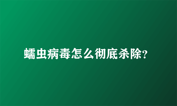 蠕虫病毒怎么彻底杀除？