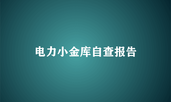 电力小金库自查报告