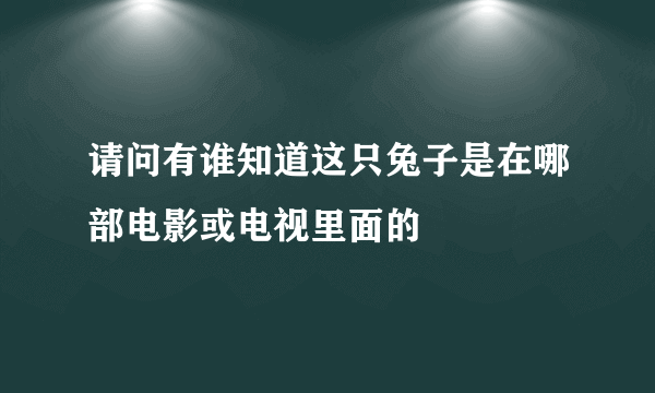 请问有谁知道这只兔子是在哪部电影或电视里面的