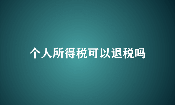 个人所得税可以退税吗