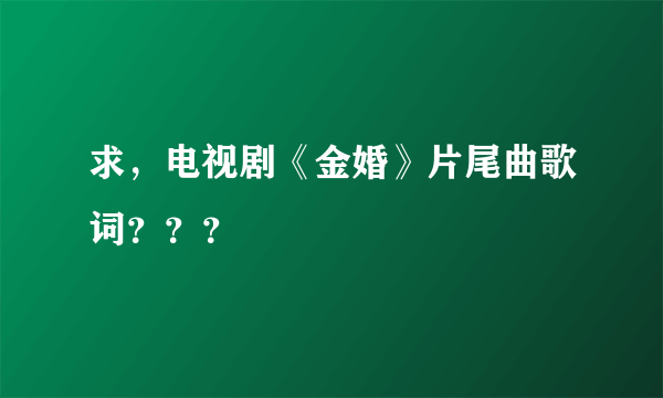 求，电视剧《金婚》片尾曲歌词？？？