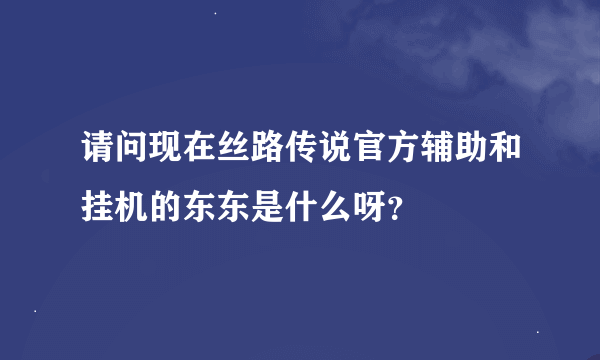 请问现在丝路传说官方辅助和挂机的东东是什么呀？